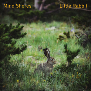 亚洲人精品亚洲人成在线
